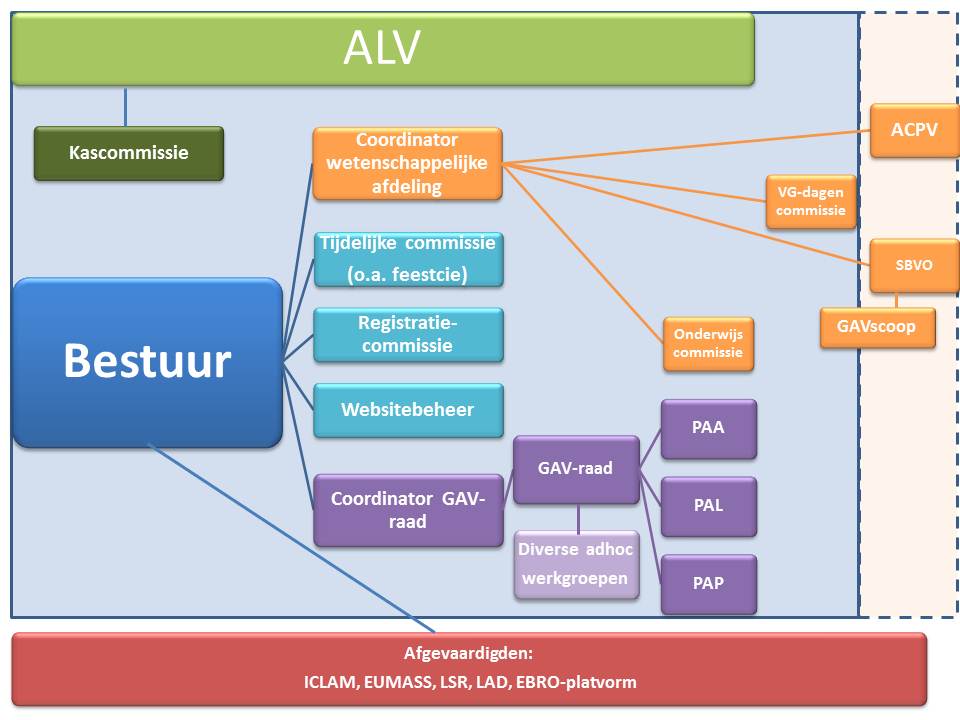 Organogram GAV